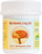 LINGH ZHI Reishi 500 mg Kapseln