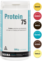 PROTEIN 75 Schoko Pulver