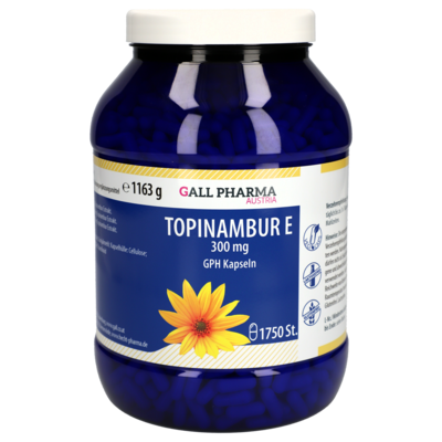 TOPINAMBUR E 300 mg GPH Kapseln