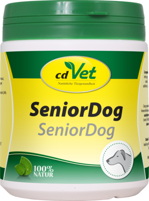 SENIOR Dog