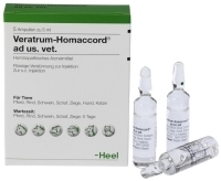 VERATRUM HOMACCORD ad us.vet.Ampullen