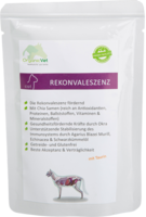 ORGANICVET Katze Pouch Rekonvaleszenz