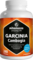 GARCINIA CAMBOGIA+Cholin Kapseln