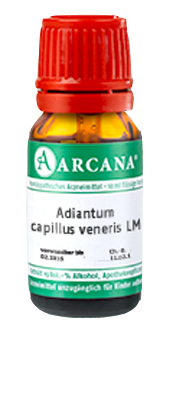 ADIANTUM CAPILLUS veneris LM 90 Dilution