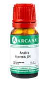 ANDIRA inermis LM 18 Dilution