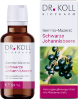 GEMMO Mazerat schwarze Johannisbeere Dr.Koll Ribes